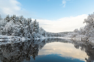 Gaujas National park Latvia Gauja river  snow covered trees in the winter reflection mirror nor frozen river blue sky