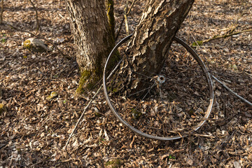 Abandoned village in Chernobyl zone