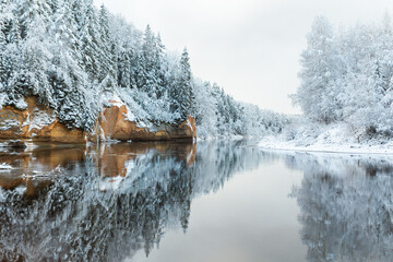 Fototapeta na wymiar Gaujas National park Latvia Gauja river Erglu Cliffs sandstone walls snow covered trees in the winter reflection mirror nor frozen river