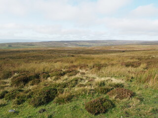 Yorkshire moors in autumn