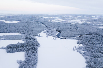 snow covered trees in the winter drone shot from above forest beautiful scenery with a river Gauja flowing not frozen reflection field