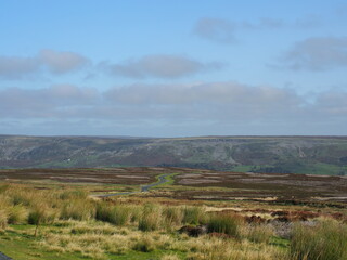 Yorkshire moors in autumn