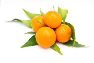 Ripe fresh organic tangerines on a branch with leaves isolated on white background.	