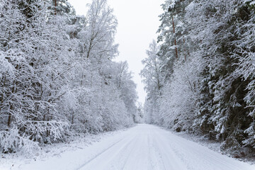 snow covered trees in the forest winter scenery lonely snow covered country road narrow 