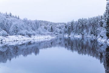 snow covered trees in winter winter scenery over the Gauja river Latvia longest river reflection mirror cloudy not frozen water