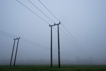 Power lines on a Foggy day.