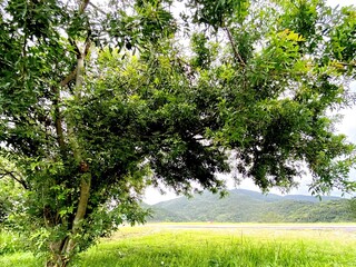 The most beautiful landscapes in Brazil