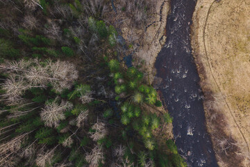 drone shot of a river in the national parks forest Amata river view from above in a sunny day tree shadows Zvartes rock