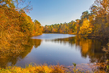 Calm river in rural south Georgia on a clear blue sky day colorful