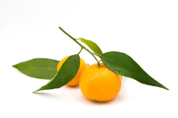 Tangerine with green leaf with dew drops isolated on white background.