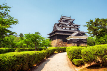 Fototapeta na wymiar 松江城と庭園