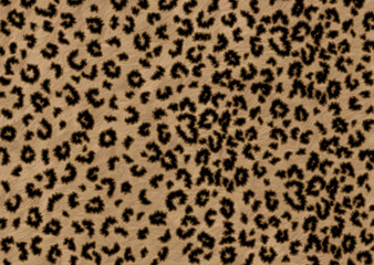 leopard skin pattern	
