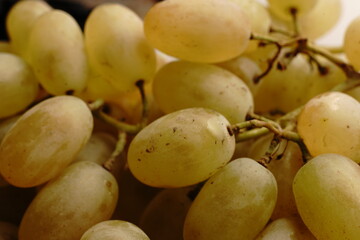 Soft green-yellow grapes. Branch. Close.