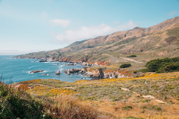 Fototapeta na wymiar Pacific Coast cliff hillside ocean view travel tourist destination California 