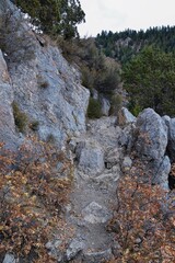 Slide Canyon hiking trail fall leaves mountain landscape view, around Y Trail, Provo Peak, Slate Canyon, Rock Canyon, Wasatch Rocky mountain Range, Utah, United States. 