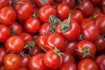 Top view of ripe small red cherry tomatoes. Organic garden vegetables. Harvest  and healthy food concept.