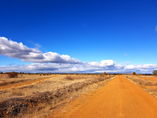 Dirt road to the horizon in autumn gold wheat fields. Blue sky with white clouds.