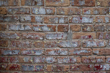Naklejka premium Brick with spots of paint 