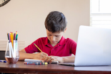 Naklejka na ściany i meble Distance learning online education. Schoolboy studies at home and does school homework. Concept of home education and distance learning.