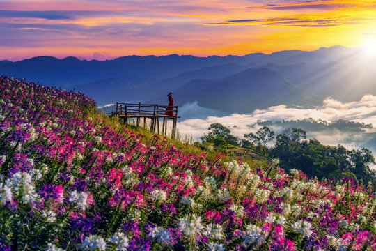 View point of the sea of mist and flower garden in Mae Sot District, Tak Province, Thailand.