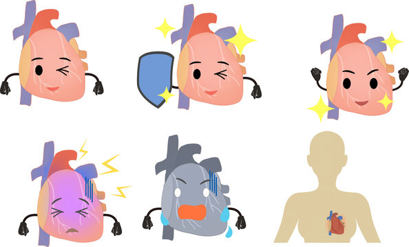 74 6 件の最適な 元気な心臓 画像 ストック写真 ベクター Adobe Stock