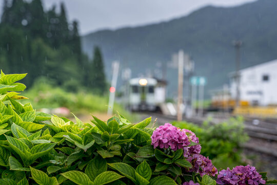 「雨降り」の画像 - 4,419 件の Stock 写真、ベクターおよびビデオ | Adobe Stock