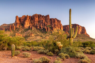 The sunset lighting up a mountain and cactus in the Arizona desert © Centioli Photography