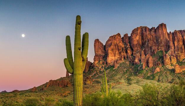 The sunset lighting up a mountain and cactus in the Arizona desert with the moon in the background