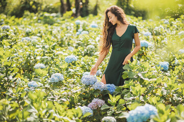 Young beautiful woman in green dress enjoying blooming blue hydrangeas flowers in garden. Gardening and florist concept. Plantation of flowers. Beauty in nature.
