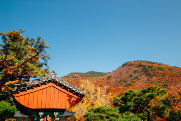 Beomeosa temple with autumn mountain in Busan, Korea