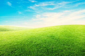 Obraz premium Landscape view green grass meadow field with white clouds and blue sky in summer seasonal.