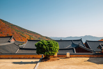 Autumn of Beomeosa temple in Busan, Korea