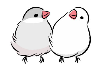 なかよしな文鳥　シルバー・桜