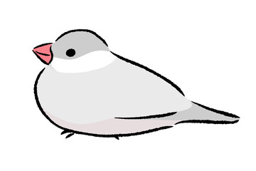 ちょこんとたたずむ文鳥　シルバー