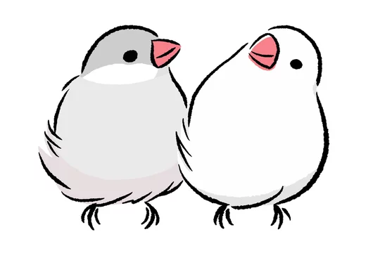 360_F_395865377_wONwYkkk6uTPUi