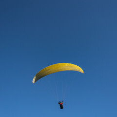 Lonely Paraglider