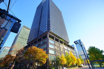 東京駅丸の内オフィスビル紅葉