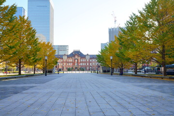 東京駅丸の内オフィスビル紅葉