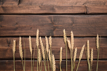 Wheat stems on the brown wooden table background with copy space.