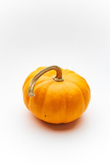 small decorative pumpkins on the white background