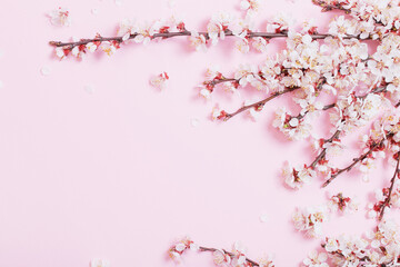 Fototapeta premium cherry flowers on pink paper background