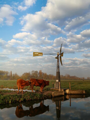 windmill on the river end cows On the Nemunas