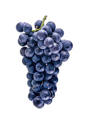  black grapes isolated on white background