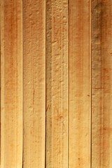 Wooden Texture