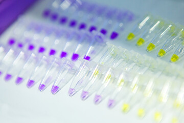 Pcr well plate microplate with biological samples
