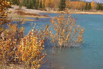 High Waters of Lake Abraham, Nordegg, Alberta