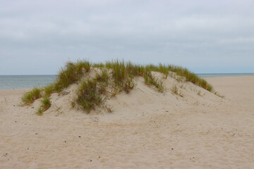 Small dune on the shores of the Baltic Sea.