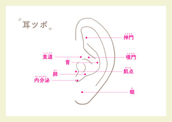 Obraz premium Ear points for beauty_1