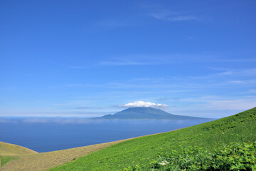 北海道　礼文島・桃岩展望台からの眺望