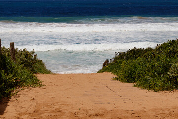 Pathway into Palm Beach from the Barrenjoey Head Aquatic Reserve. Sand flanked by low bushes, with blue ocean views and white surf